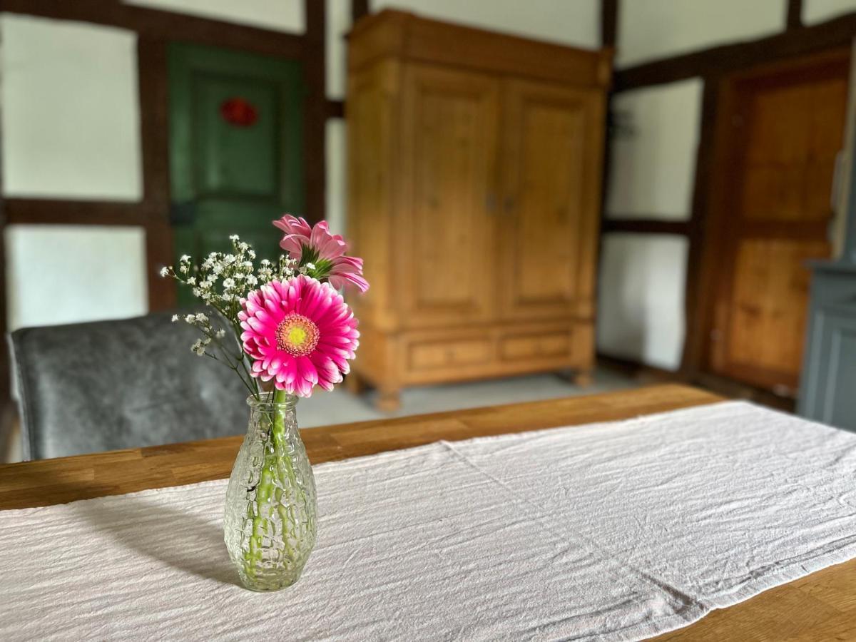 Reetscheune Kruezen Kruzen ภายนอก รูปภาพ